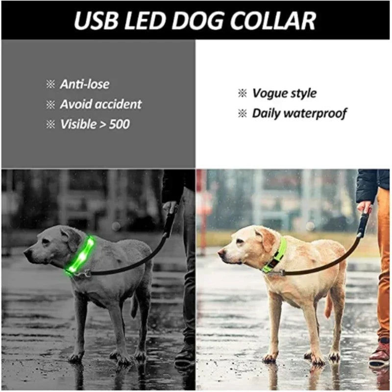 LED Glowing Dog Collar – Rechargeable, Night Safety