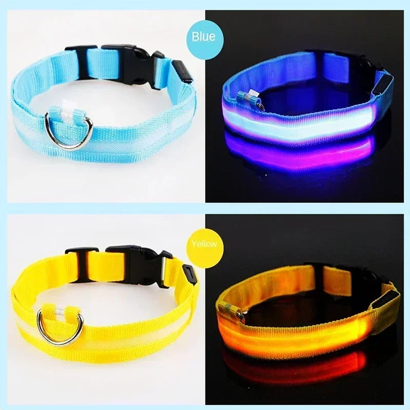 LED Glowing Dog Collar – Rechargeable, Night Safety