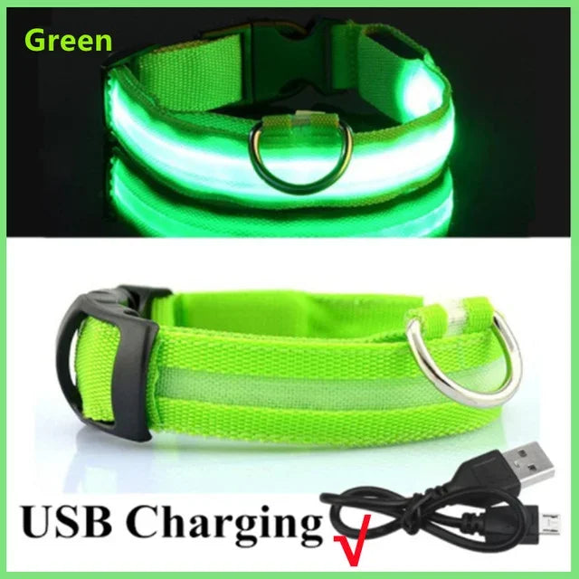 LED Glowing Dog Collar – Rechargeable, Night Safety