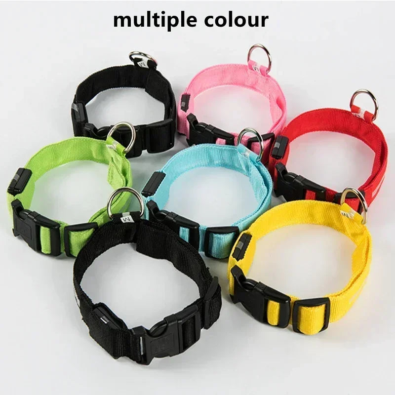 LED Glowing Dog Collar – Rechargeable, Night Safety