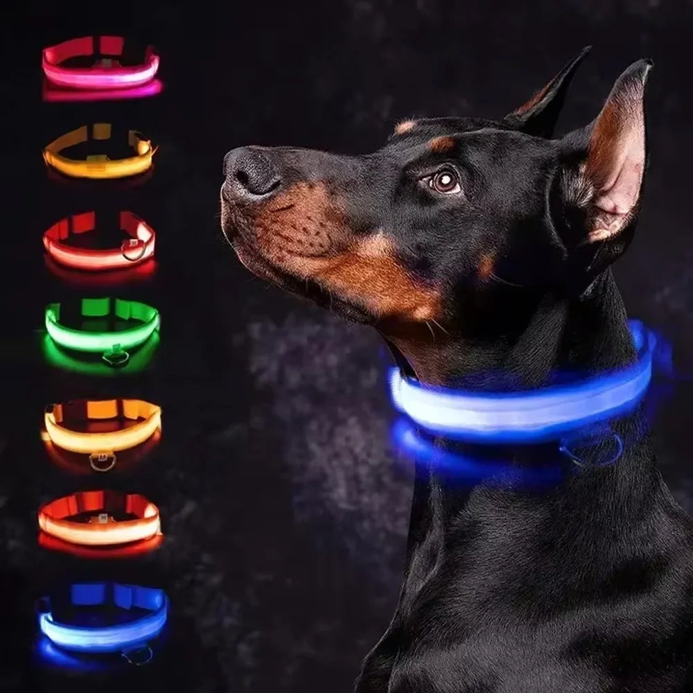 LED Glowing Dog Collar – Rechargeable, Night Safety