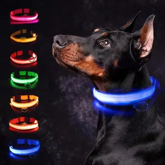 LED Glowing Dog Collar – Rechargeable, Night Safety