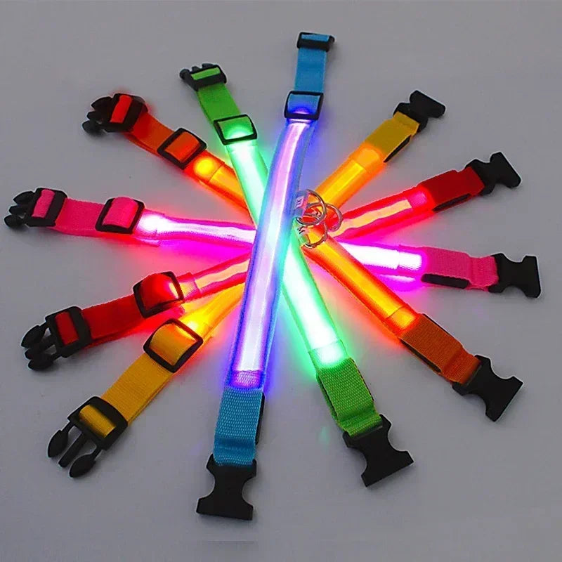 LED Glowing Dog Collar – Rechargeable, Night Safety