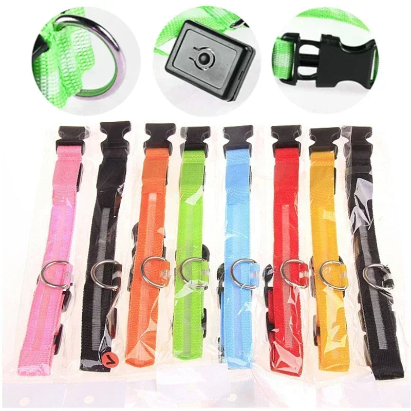 LED Glowing Dog Collar – Rechargeable, Night Safety