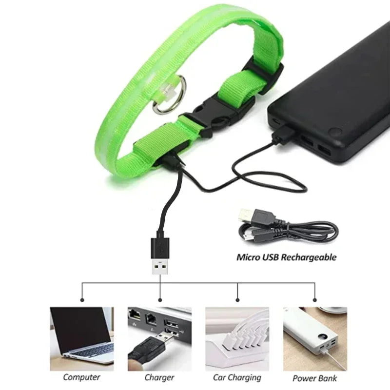 LED Glowing Dog Collar – Rechargeable, Night Safety