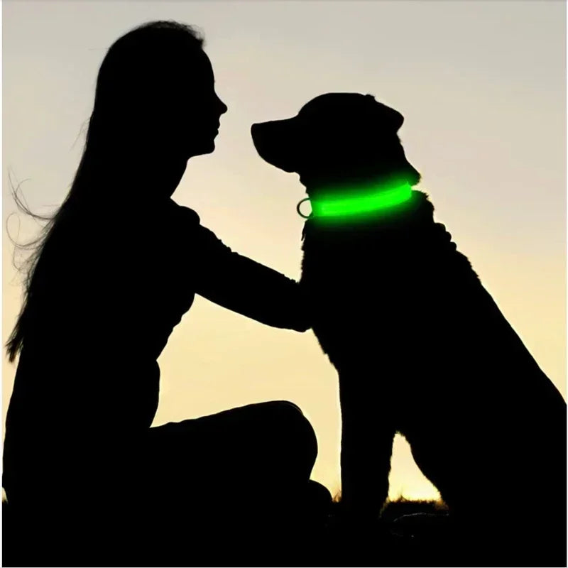LED Glowing Dog Collar – Rechargeable, Night Safety