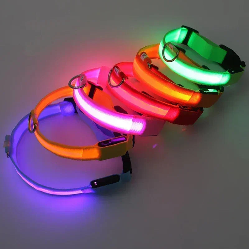LED Glowing Dog Collar – Rechargeable, Night Safety