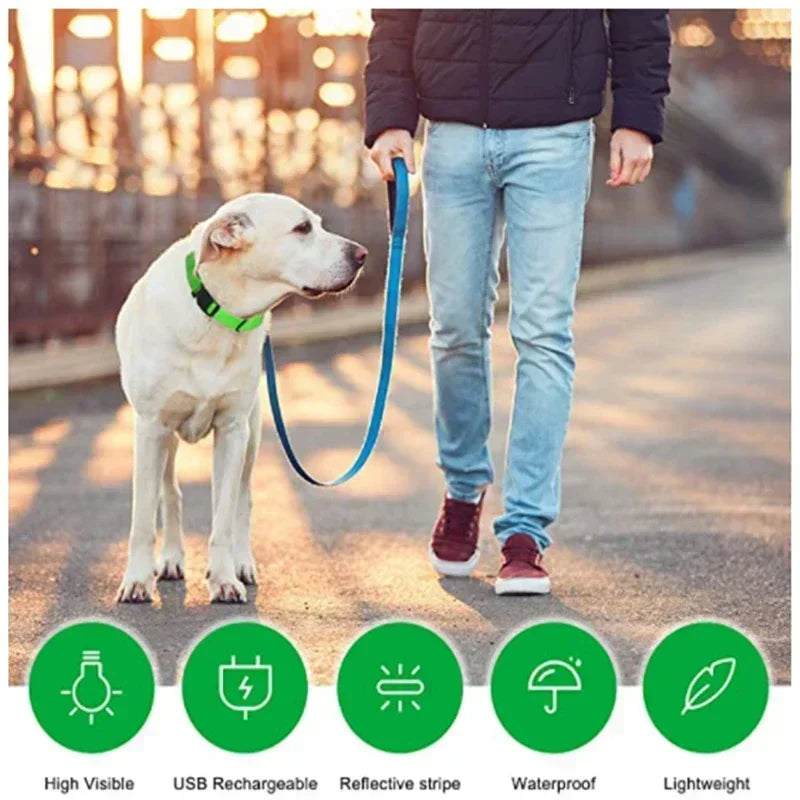 LED Glowing Dog Collar – Rechargeable, Night Safety