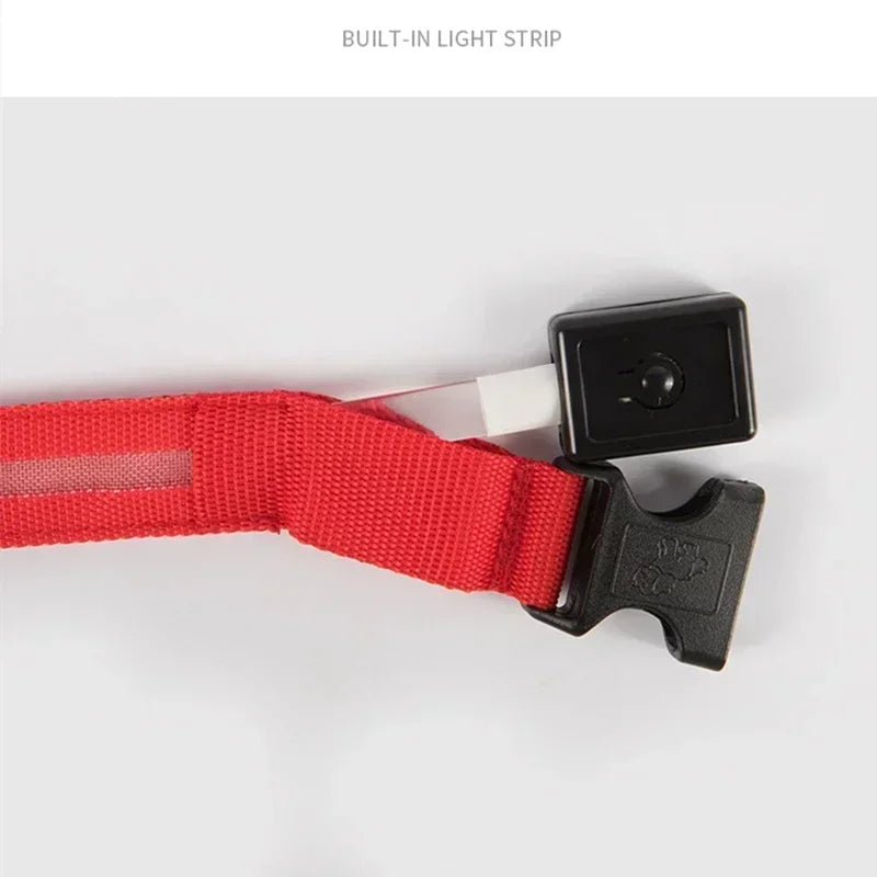 LED Glowing Dog Collar – Rechargeable, Night Safety