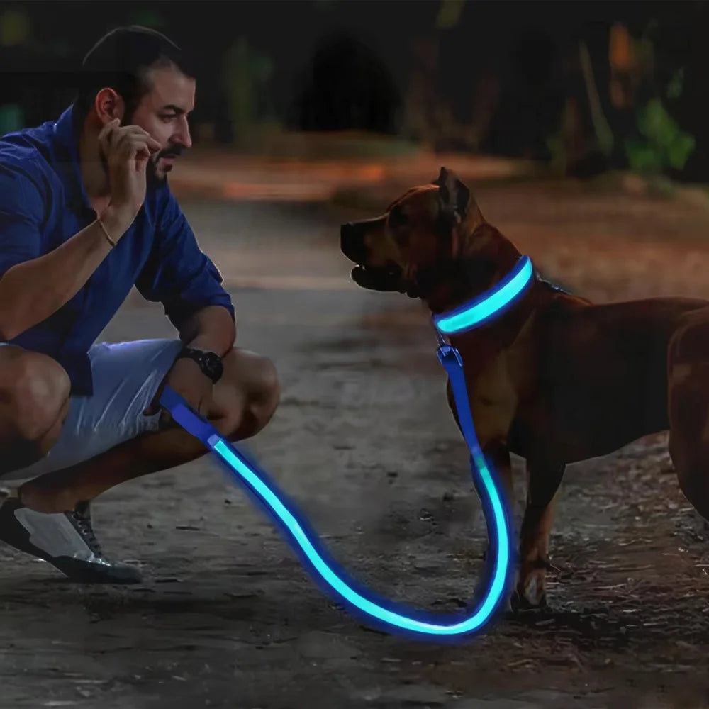 LED Glowing Dog Collar – Rechargeable, Night Safety