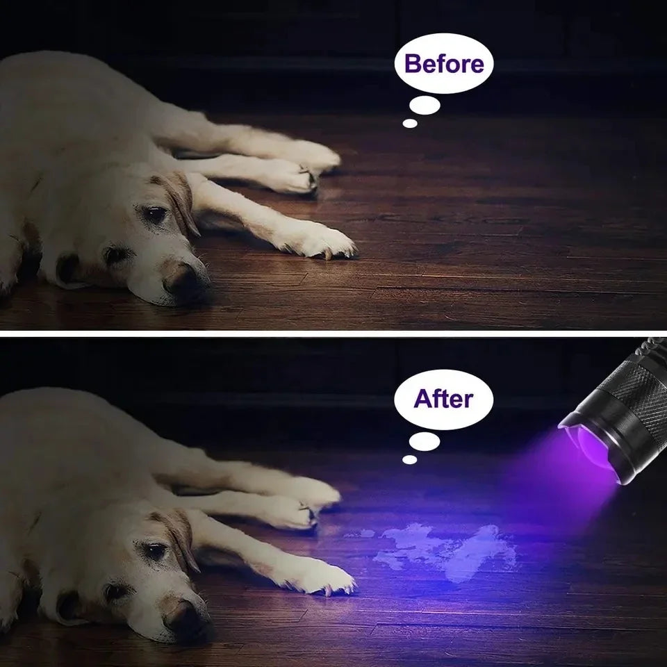 Portable UV Flashlight – 365/395nm, Rechargeable