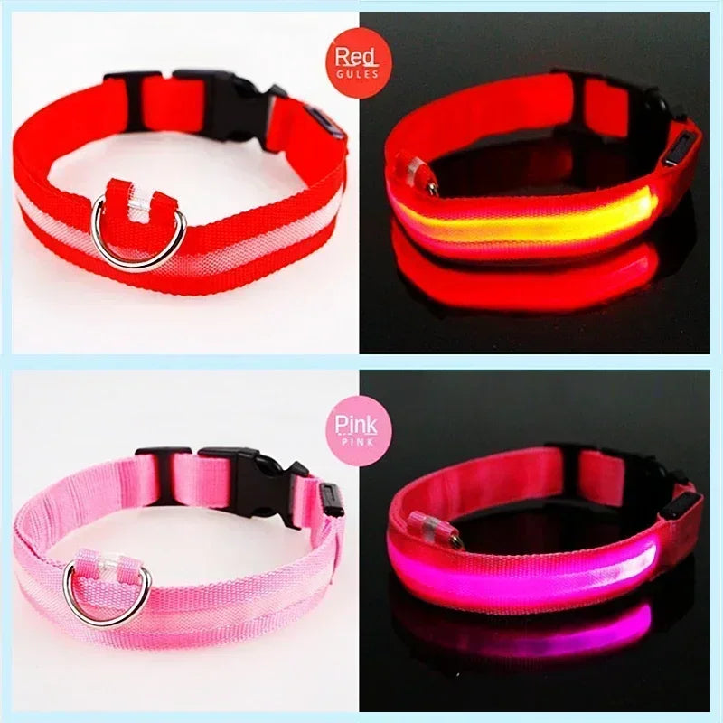 LED Glowing Dog Collar – Rechargeable, Night Safety