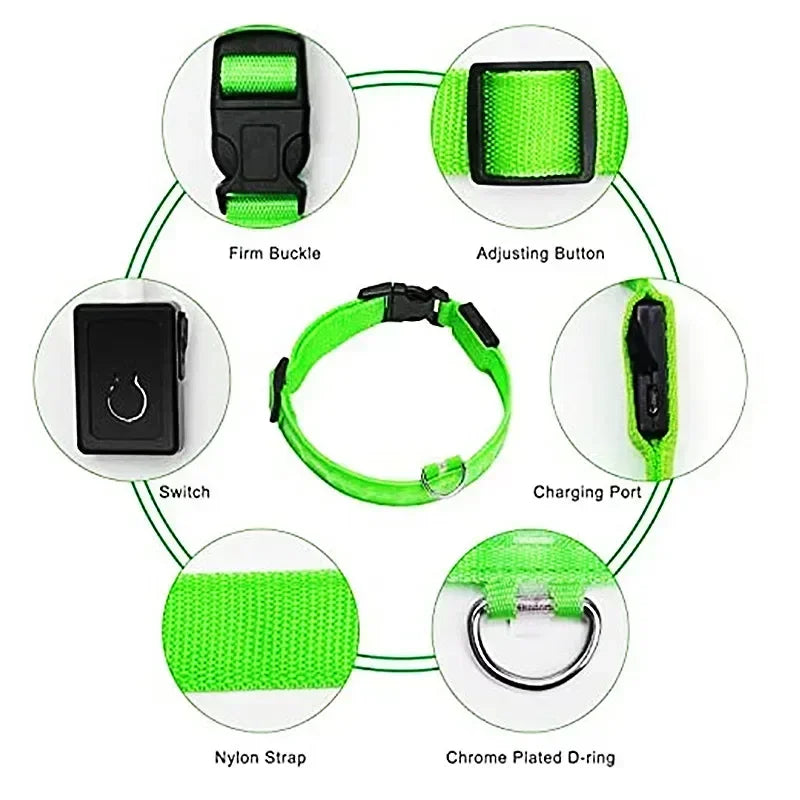 LED Glowing Dog Collar – Rechargeable, Night Safety