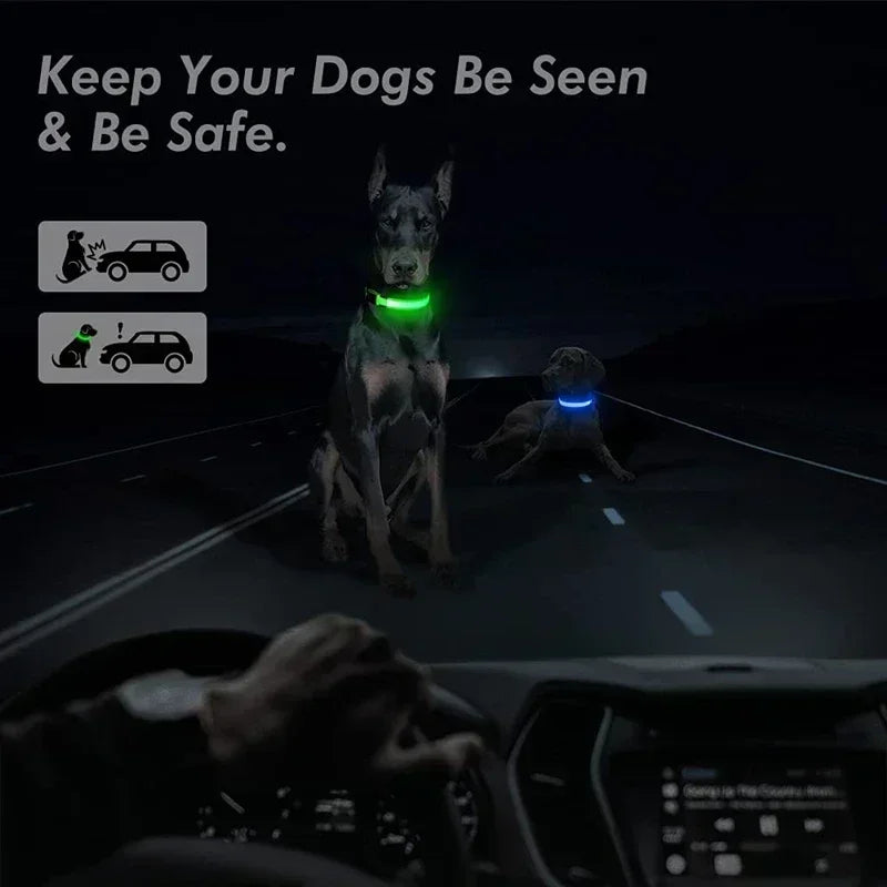 LED Glowing Dog Collar – Rechargeable, Night Safety