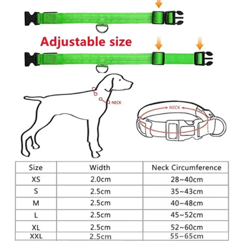 LED Glowing Dog Collar – Rechargeable, Night Safety