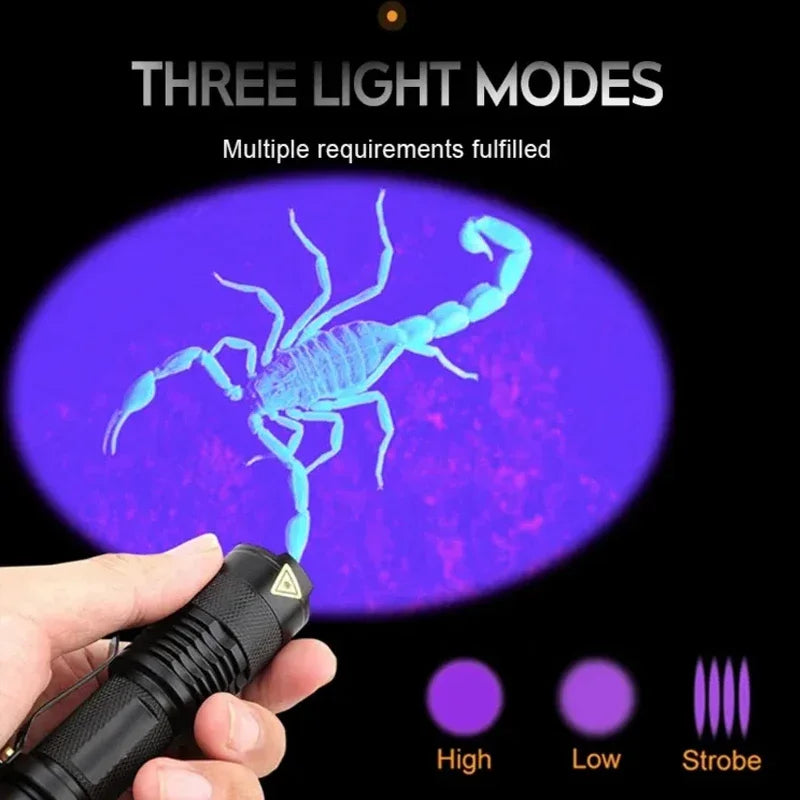 Portable UV Flashlight – 365/395nm, Rechargeable