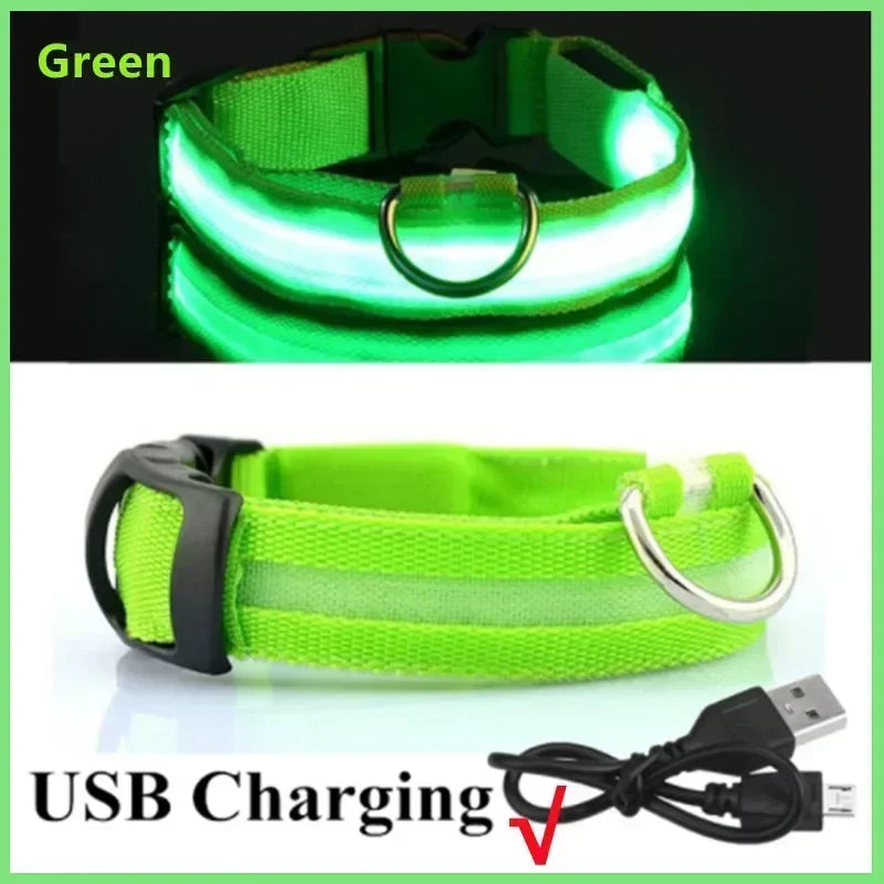 LED Glowing Dog Collar – Rechargeable, Night Safety