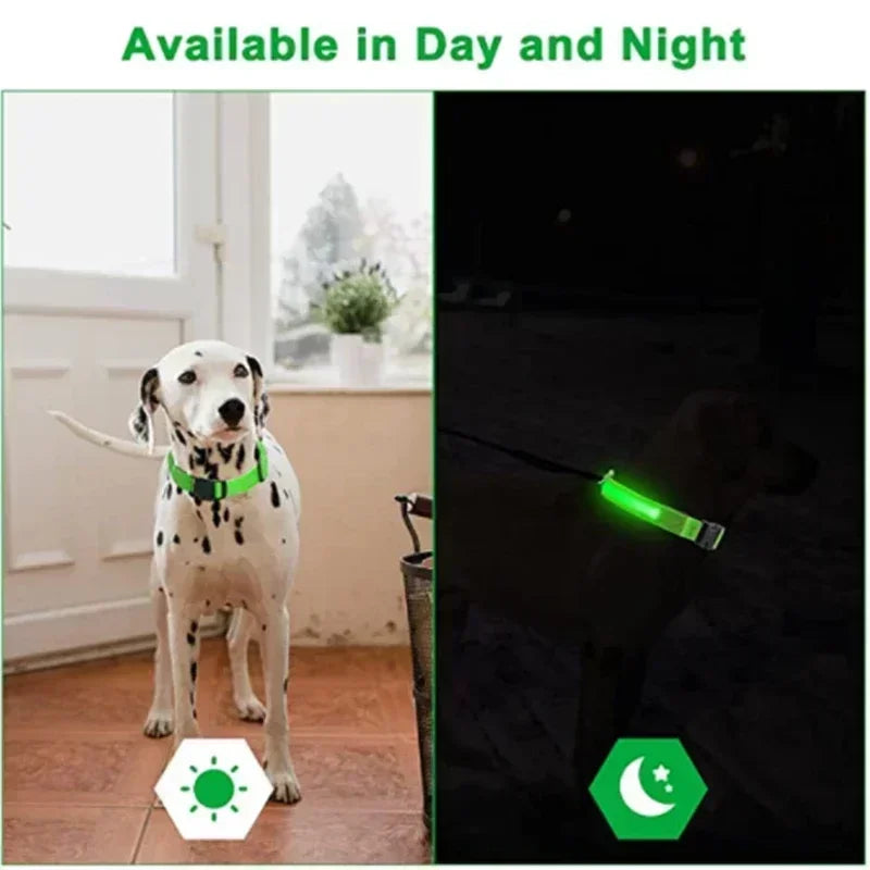 LED Glowing Dog Collar – Rechargeable, Night Safety