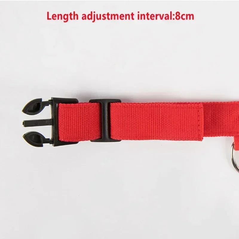 LED Glowing Dog Collar – Rechargeable, Night Safety