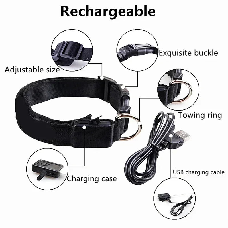 LED Glowing Dog Collar – Rechargeable, Night Safety